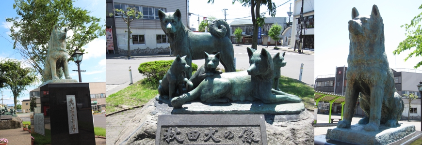 秋田犬