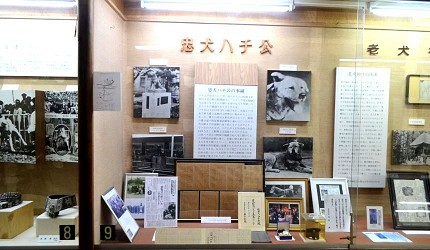 秋田犬博物館