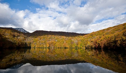 東北自駕賞楓景點青森蔦沼