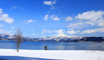 東北自駕賞楓景點秋田田澤湖