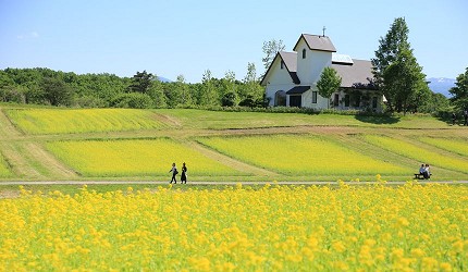 東北自駕用tep景點Yakurai garden