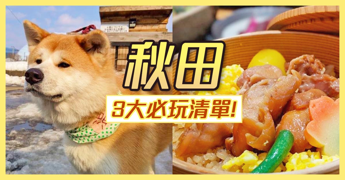 第一次秋田旅行的3個必玩清單 秋田犬 鄉土料理 溫泉 樂吃購 日本